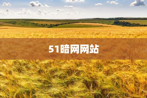51暗网网站