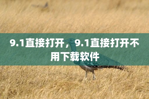 9.1直接打开，9.1直接打开不用下载软件