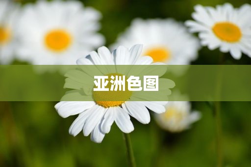 亚洲色图