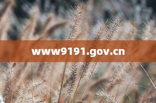 www9191.gov.cn