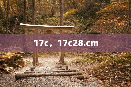 17c，17c28.cm