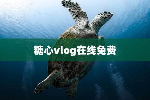 糖心vlog在线免费