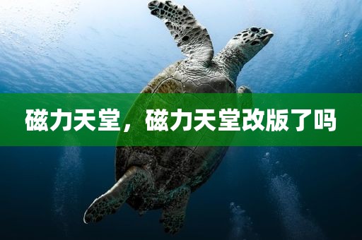 磁力天堂，磁力天堂改版了吗