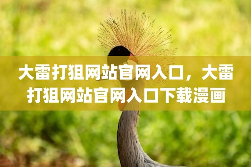 大雷打狙网站官网入口，大雷打狙网站官网入口下载漫画