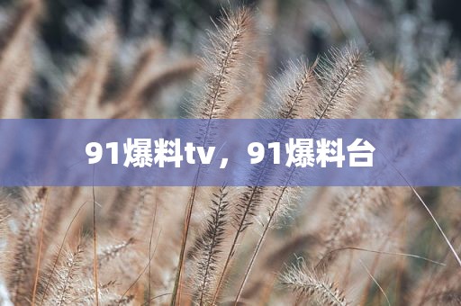 91爆料tv，91爆料台