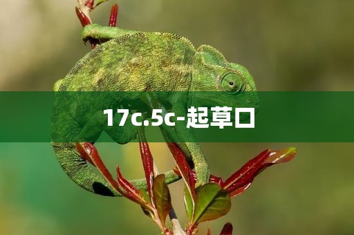 17c.5c-起草口