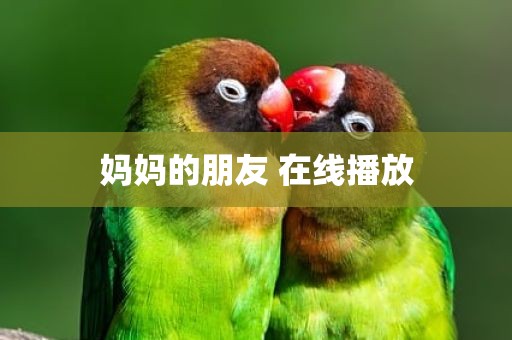 妈妈的朋友 在线播放