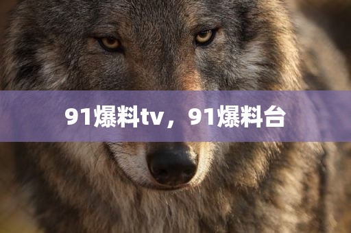 91爆料tv，91爆料台