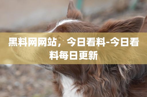 黑料网网站，今日看料-今日看料每日更新