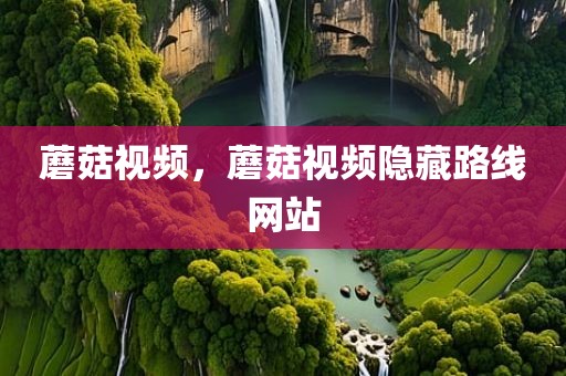 蘑菇视频，蘑菇视频隐藏路线网站