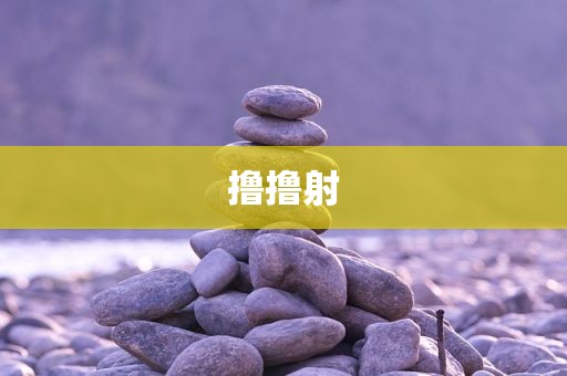 撸撸射