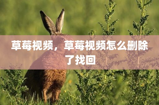 草莓视频，草莓视频怎么删除了找回