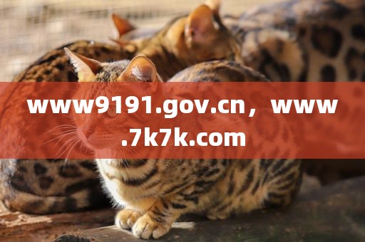 www9191.gov.cn，www.7k7k.com