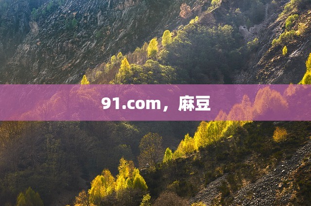 91.com，麻豆