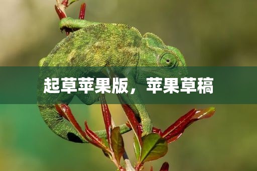 起草苹果版，苹果草稿