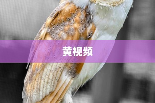 黄视频