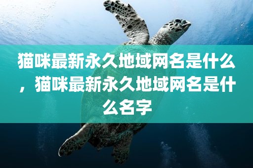 猫咪最新永久地域网名是什么，猫咪最新永久地域网名是什么名字