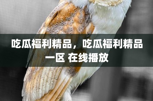 吃瓜福利精品，吃瓜福利精品一区 在线播放