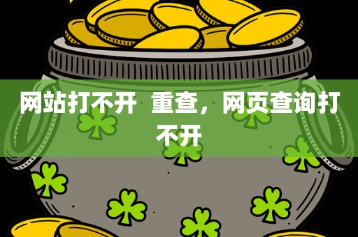 网站打不开  重查，网页查询打不开