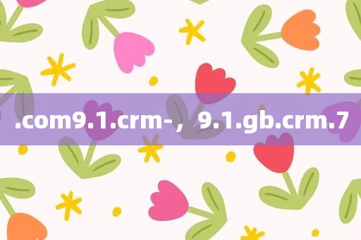 .com9.1.crm-，9.1.gb.crm.7