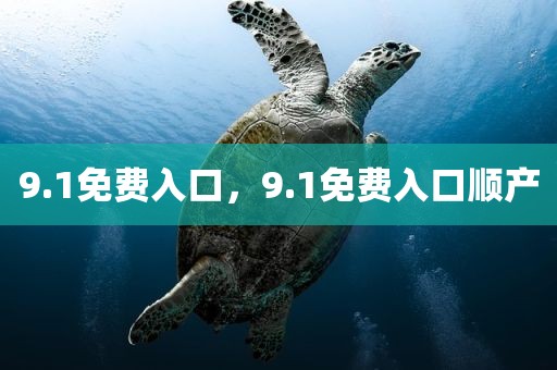 9.1免费入口，9.1免费入口顺产