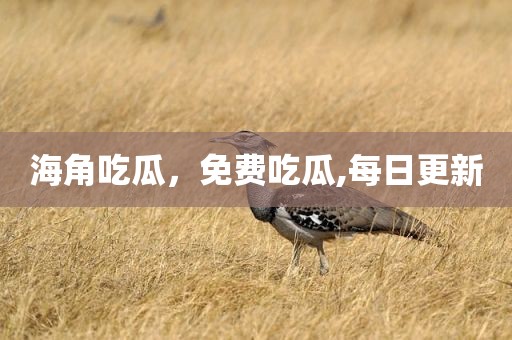 海角吃瓜，免费吃瓜,每日更新
