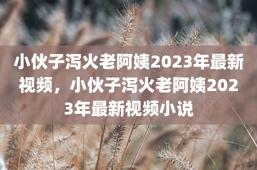 小伙子泻火老阿姨2023年最新视频，小伙子泻火老阿姨2023年最新视频小说