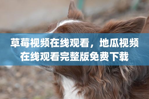 草莓视频在线观看，地瓜视频在线观看完整版免费下载