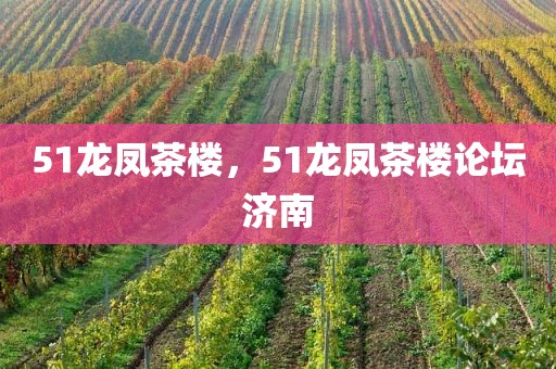 51龙凤茶楼，51龙凤茶楼论坛济南