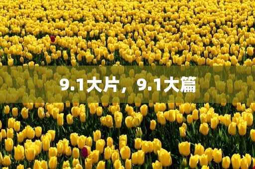 9.1大片，9.1大篇