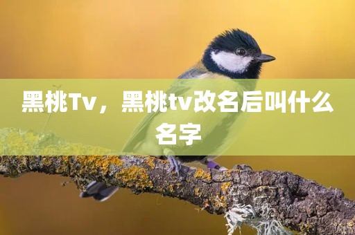 黑桃Tv，黑桃tv改名后叫什么名字