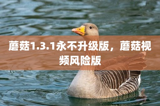 蘑菇1.3.1永不升级版，蘑菇视频风险版