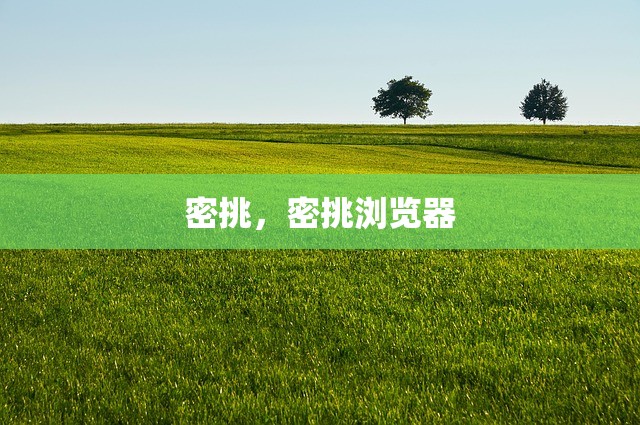 密挑，密挑浏览器