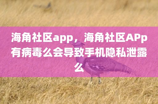 海角社区app，海角社区APp有病毒么会导致手机隐私泄露么