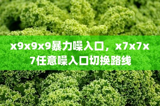 x9x9x9暴力噪入口，x7x7x7任意噪入口切换路线