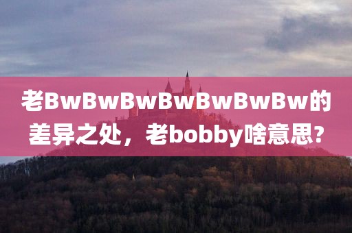 老BwBwBwBwBwBwBw的差异之处，老bobby啥意思?