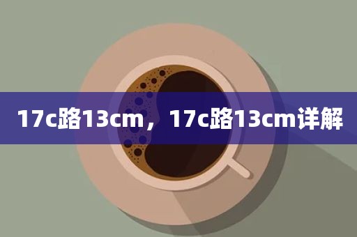17c路13cm，17c路13cm详解