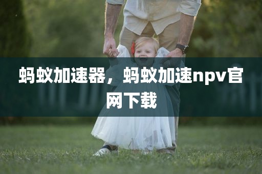 蚂蚁加速器，蚂蚁加速npv官网下载