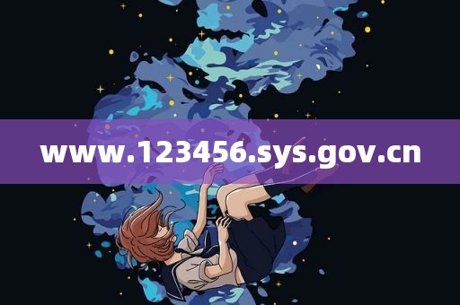 www.123456.sys.gov.cn