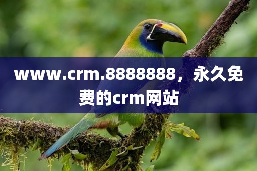 www.crm.8888888，永久免费的crm网站
