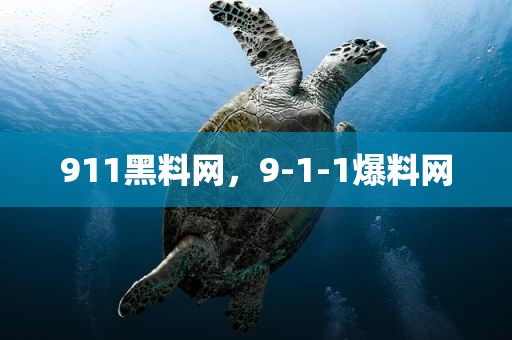 911黑料网，9-1-1爆料网