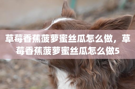 草莓香蕉菠萝蜜丝瓜怎么做，草莓香蕉菠萝蜜丝瓜怎么做5