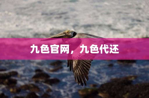 九色官网，九色代还