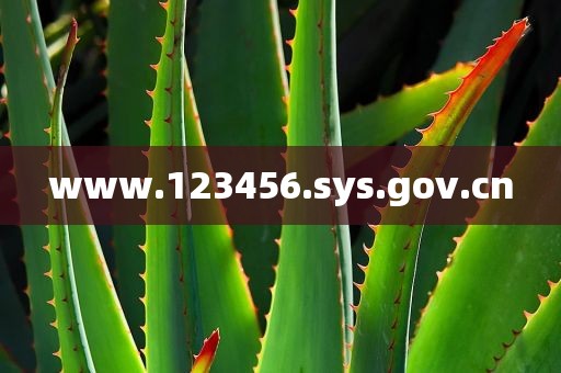 www.123456.sys.gov.cn