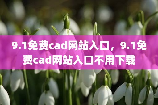 9.1免费cad网站入口，9.1免费cad网站入口不用下载