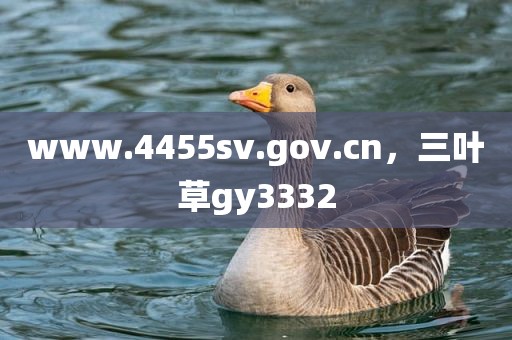 www.4455sv.gov.cn，三叶草gy3332