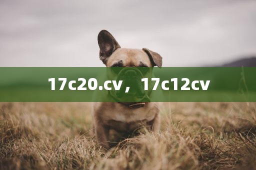 17c20.cv，17c12cv