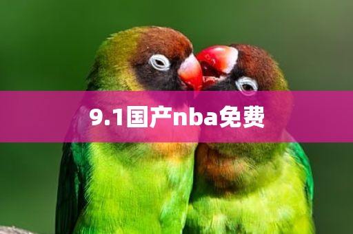 9.1国产nba免费