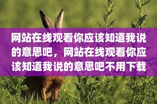 网站在线观看你应该知道我说的意思吧，网站在线观看你应该知道我说的意思吧不用下载