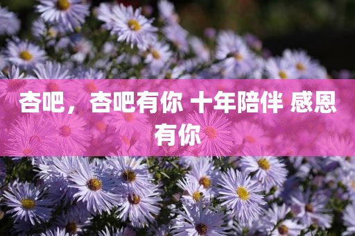 杏吧，杏吧有你 十年陪伴 感恩有你